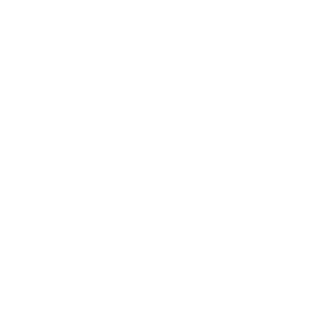 dg logo large white111